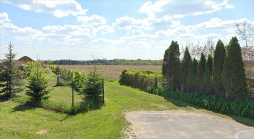 działka na sprzedaż 65000m2 działka Szewce, Lotnicza