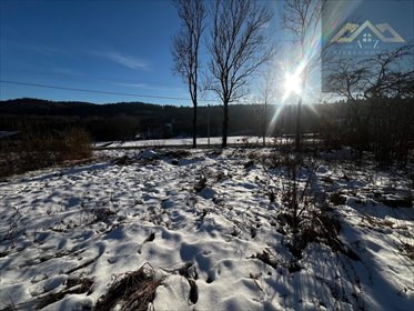 działka na sprzedaż 1500m2 działka Zwiernik