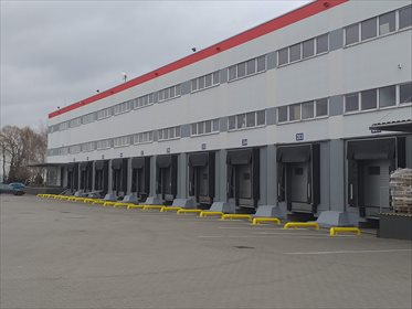 Lokal użytkowy na wynajem Stablewice 2 000m2 Foto 5