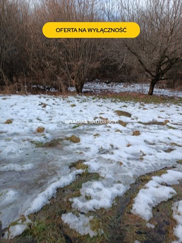 działka na sprzedaż 9900m2 działka Czarnochowice