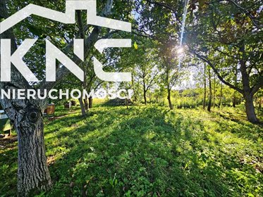 działka na sprzedaż 3024m2 działka Smugi