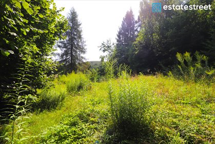 działka na sprzedaż 7602m2 działka Nielepice