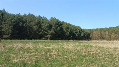 działka na sprzedaż 2397m2 działka Silna, Silna