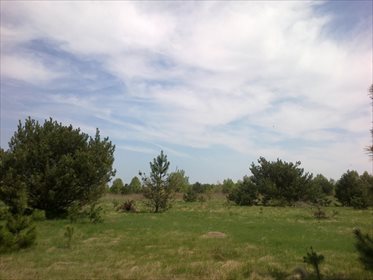 działka na sprzedaż 2400m2 działka Wojcieszyn, Trakt Królewski