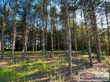 Działki Grabowo 2065 m² z warunkami zabudowy polecam działka Grabowo