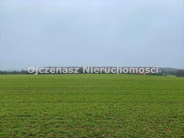 Polecam działkę inwestycyjną 1,57 ha z mediami i MPZP działka Gliszcz
