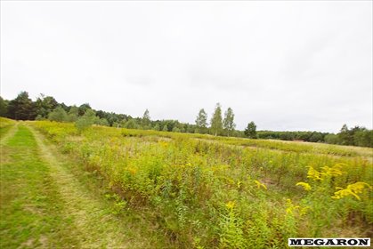 Działka 3381 m² w Woli Mokrzesce - inwestycja i prywatność działka Wola Mokrzeska