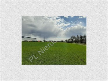 działka na sprzedaż 26900m2 działka Natolin