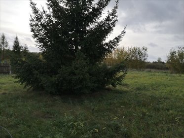 Działka budowlana na sprzedaż Orzysz 1 257m2 Foto 4
