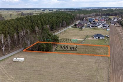 Działka 2900 m² pod dom w Lelis las asfalt
 działka Lelis, Platynowa