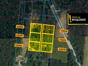 Działki w Korytnicy 1543 m² z lasem - polecam działka Korytnica