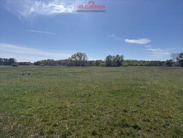 działka na sprzedaż 9800m2 działka Wieńkowo
