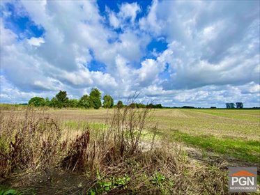 Działka rolna 3700 m² w Płotach (blisko lasu) działka PŁOTY OKOLICA