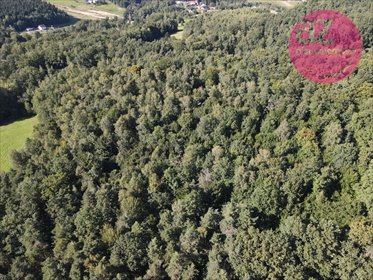 działka na sprzedaż 16800m2 działka Gorlice