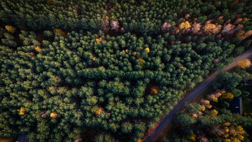 działka na sprzedaż 2618m2 działka Wodzierady