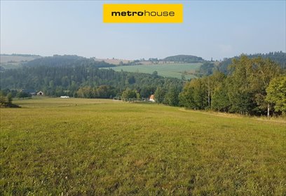 Duża działka rolna 63 400 m² z możliwością rozwoju zapraszam działka Janówek