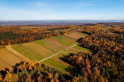 działka na sprzedaż 595m2 działka Lipnica Dolna, Kameralne działki budowlane przy lesie – tylko 41 km od Krakowa!