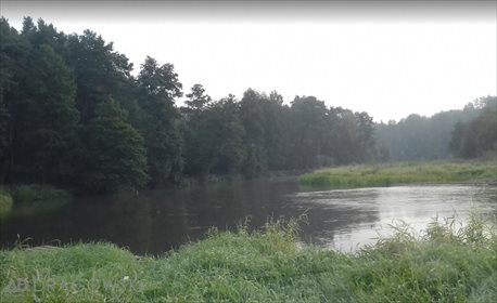 Lokal użytkowy na sprzedaż Biała 500m2 Foto 3