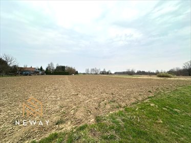 działka na sprzedaż 5576m2 działka Brzezinka