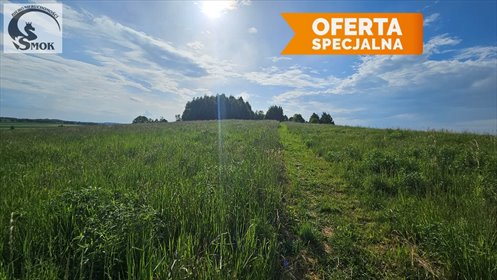 Sprzedam widokową działkę 3,7 ha z terenem budowlanym działka Jerzmanowice