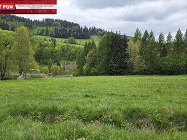 działka na sprzedaż 1667m2 działka Świerki