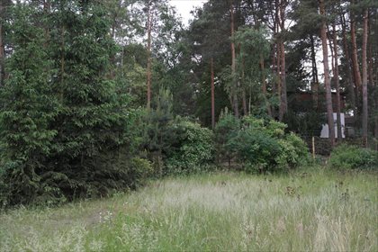 Działka budowlana na sprzedaż Biały Bór 504m2 Foto 4