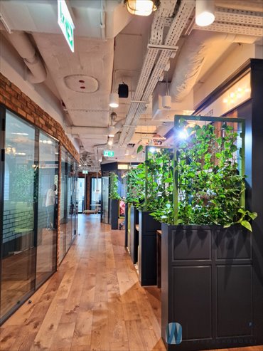 lokal użytkowy na wynajem 30m2 lokal użytkowy Warszawa, Śródmieście, Tadeusza Czackiego