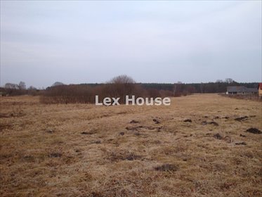 działka na sprzedaż 7700m2 działka Sowno