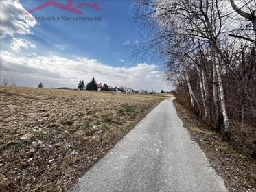 działka na sprzedaż 2400m2 działka Potakówka