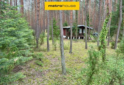 Urokliwa działka z domkiem w lesie, 1433 m², blisko Warszawy działka Łosie, Jeżowa