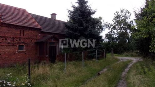 Dom na sprzedaż Czernina Dolna, Czernina 80m2 Foto 5