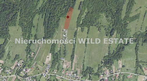 Działka rolna 1,06 ha z widokami, dostępem do Bieszczad działka Lesko, Manasterzec