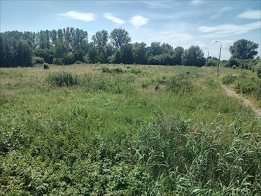 Działka inwestycyjna 9 950 m² z dobrym dojazdem działka Gronowo Górne, Berylowa