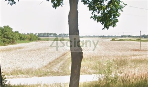 Sprzedam działkę 135 000 m² przy trasie Poznańskiej działka Święcice