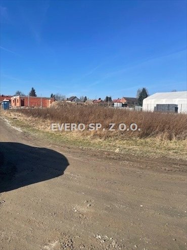 działka na sprzedaż 900m2 działka Oleśniczka