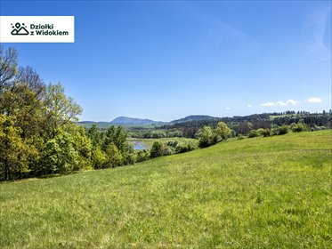 działka na sprzedaż 1100m2 działka Debrznik, Debrznik