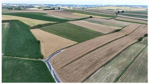 działka na sprzedaż 13635m2 działka Obrażejowice, Obrażejowice
