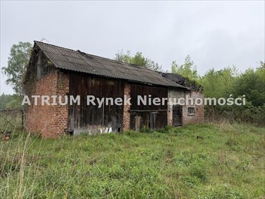 Dom z potencjałem na dużej działce w Bełchatowie dom Bełchatów