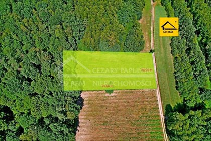 działka na sprzedaż 3000m2 działka Uściąż, Uściąż