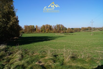 działka na sprzedaż 16800m2 działka Szałkowo