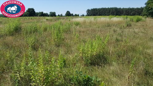 działka na sprzedaż 27000m2 działka Budy-Strzyże
