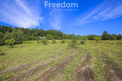 działka na sprzedaż 3331m2 działka Hadle Kańczuckie