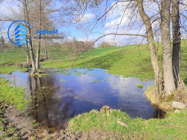 Działka siedliskowa na sprzedaż Rakówek 9 900m2 Foto 6