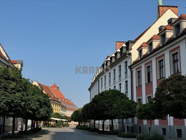 mieszkanie na wynajem 100m2 mieszkanie Wrocław, Śródmieście, Katedralna