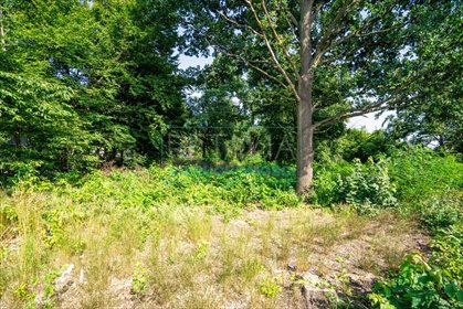 działka na sprzedaż 2028m2 działka Milanówek