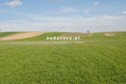 Działka inna na sprzedaż Rudno Górne 21 010m2 Foto 3