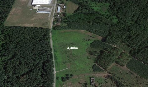 Działka inna na sprzedaż Smolarzyny 44 800m2 Foto 4