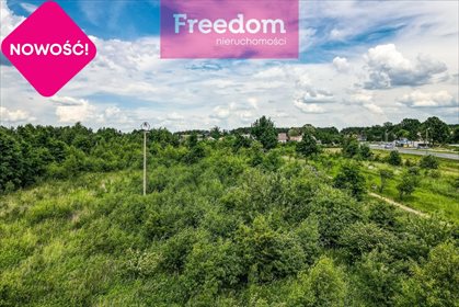 Działka inna na sprzedaż Zarzecze 2 374m2 Foto 2