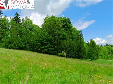 działka na sprzedaż 889m2 działka Jedlina-Zdrój, Kamieńsk