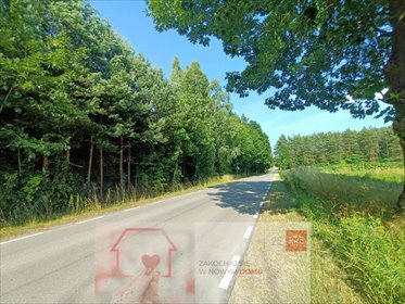 działka na sprzedaż 4400m2 działka Szlachecki Las